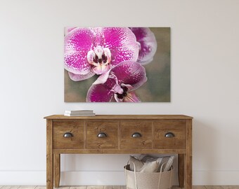 Orchid Flower Photography, Magenta Pink Floral Wall Art Prints #1