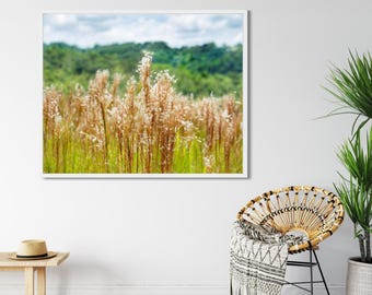 植物写真、ブルーステムの花が咲いた熱帯の草の室内装飾、壁アートプリントまたはキャンバス