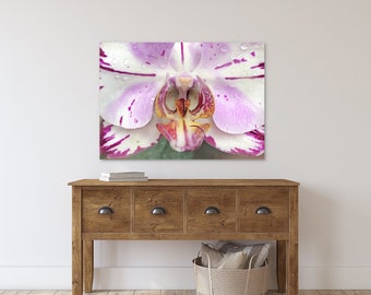 Orchid Flower Photography, Pink Botanical Close Up Art Prints #12