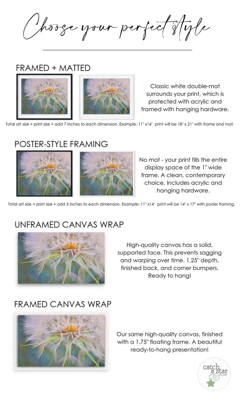 Botanical Triptych Wall Decor Art Prints Etsy