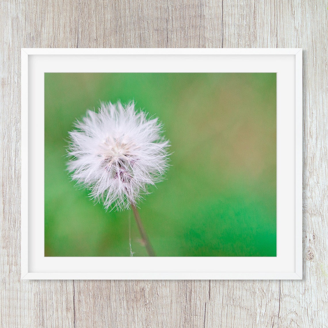 Dandelion Wall Art Dandelion Canvas Botanical Home Decor Etsy