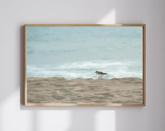 Sunrise Stroll, Shorebird Beach Wall Art Decor, Coastal Shoreline Florida Art Print