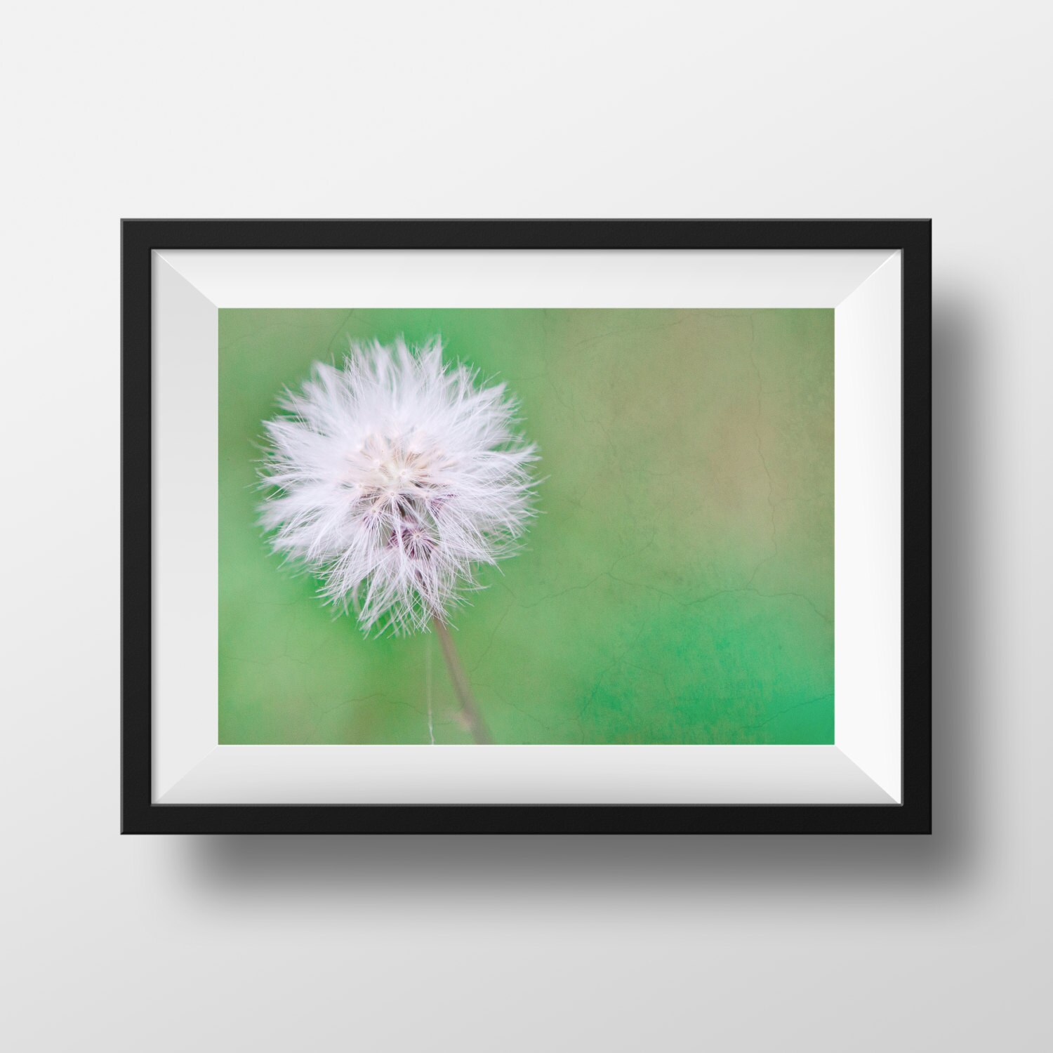 Dandelion Wall Art Dandelion Canvas Botanical Home Decor Etsy
