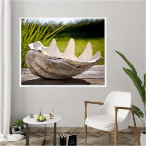 Seashell Beach Wall Art,  Nautical Coastal Photography Prints