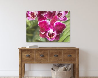 Magenta Flower Photography, Pink Orchid Floral Tropical Art Prints #15