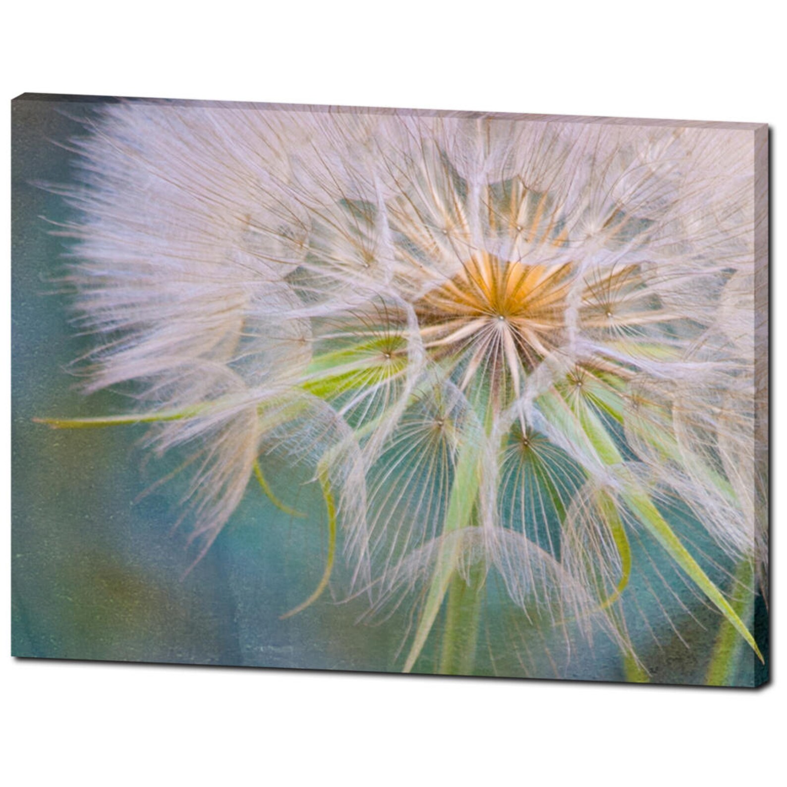 Dandelion Botanical Wall Art Home Decor Canvas Art Prints Etsy