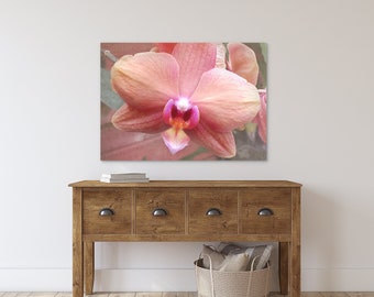 Tropical Pink Orchid Photography Floral Art Prints #6