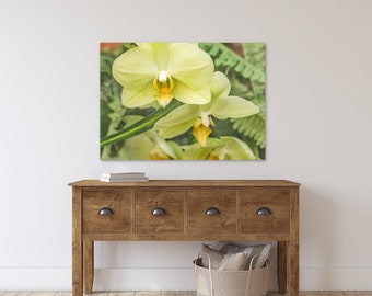 Yellow Flower Photography, Orchid Floral Tropical Art Prints #14