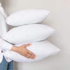 Premium Down Alternative Pillow Insert | Throw Pillow Cover Insert | Decorative Pillow Insert, 18x18 20x20 16x24 | Cotton cover, Microbeads