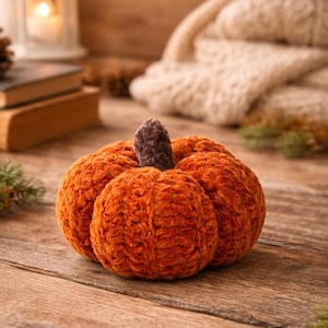 Gehaakt pompoenpatroon - doe-het-zelf herfstdecor, eenvoudige pompoenen, plat gehaakt