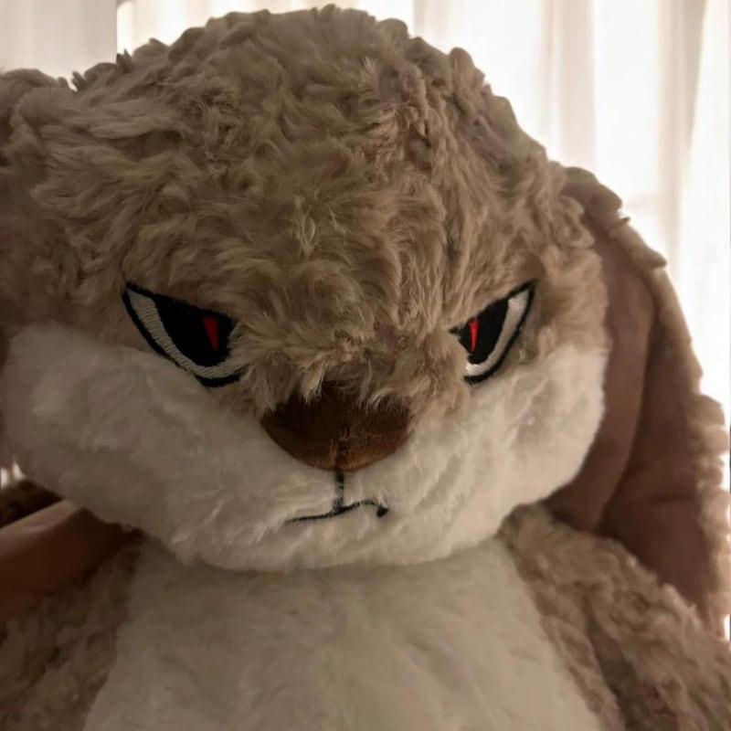 Plushies Kawaii Large - Etsy