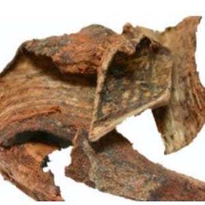 Cuachalalate Bark, Magical Herbs, Herbal Tea, Spiritual Herbs, Witch Herbs, Hoodoo Herbs, Herbal Bath