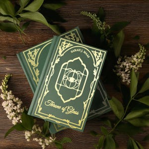 Throne of Glass, book 1: Throne of Glass Series Book Binding Cover Cricut Design SVG file for vinyl cutter, TOG series svg file