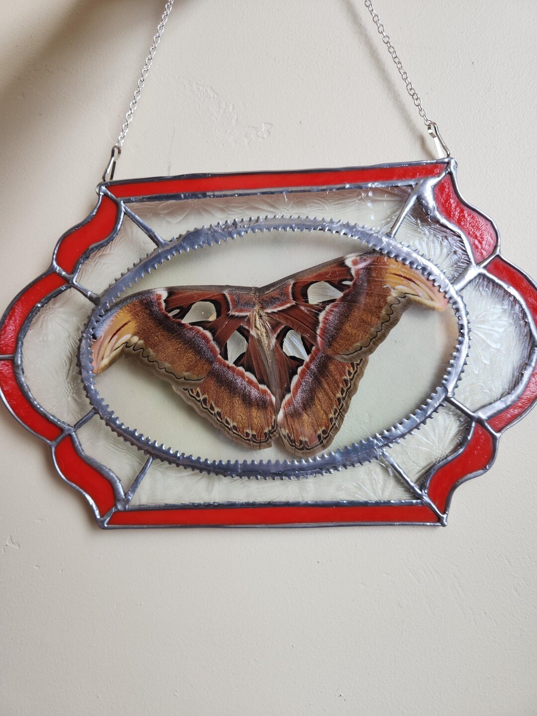 Atlas Moth Stained Glass - Etsy