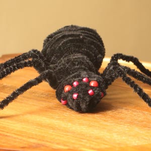 Pipe Cleaner Spider