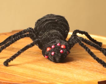 Pipe Cleaner Spider