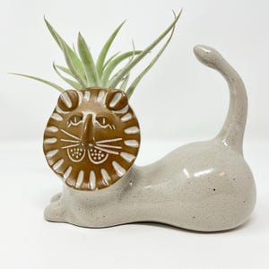 Peut inclure: Un pot de fleurs en céramique en forme de lion de couleur gris clair, avec un visage de lion marron et blanc. Le pot contient une plante aérienne verte. Le lion a une queue incurvée. Un objet décoratif pour la décoration intérieure.