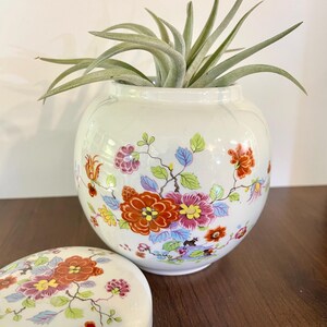 May include: White ceramic jar with a floral design in shades of pink, orange, yellow, and blue. The jar has a lid and is decorated with a floral pattern. A green air plant is sitting inside the jar.