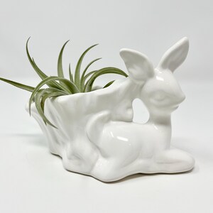 Puede incluir: Un macetero de cerámica blanca con forma de conejo y acabado brillante. El macetero tiene una zona ahuecada para plantas. Las plantas aéreas verdes están dentro, creando un acento decorativo para la decoración del hogar.