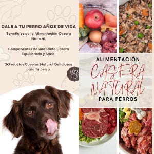 May include: A promotional image for natural homemade dog food. The image features a brown dog licking its nose, along with various food ingredients like meat and vegetables. Text in the image promotes the benefits of natural homemade dog food.