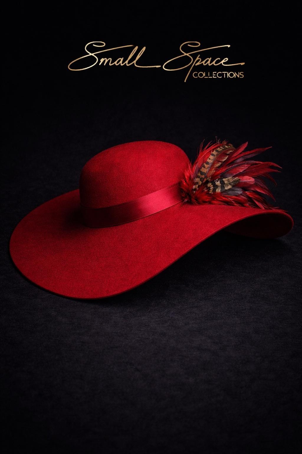 Red Rounded Hat Red Wide Brim Felt Wide Brim Floppy Hat With Hand-placed Red Feathers ...