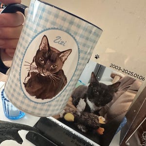 Może przedstawiać: Ceramiczny kubek w jasnoniebiesko-białą kratkę vichy z owalną ilustracją czarnego kota z napisem Zizi. Obok znajduje się tablica pamiątkowa ze zdjęciem czarnego kota, datą 2003-2025.01.06 oraz tekstem MEWING PURRING NAPPING IN THE SUN I WILL BE WAITING FOR YOU AT RAINBOW BRIDGE.