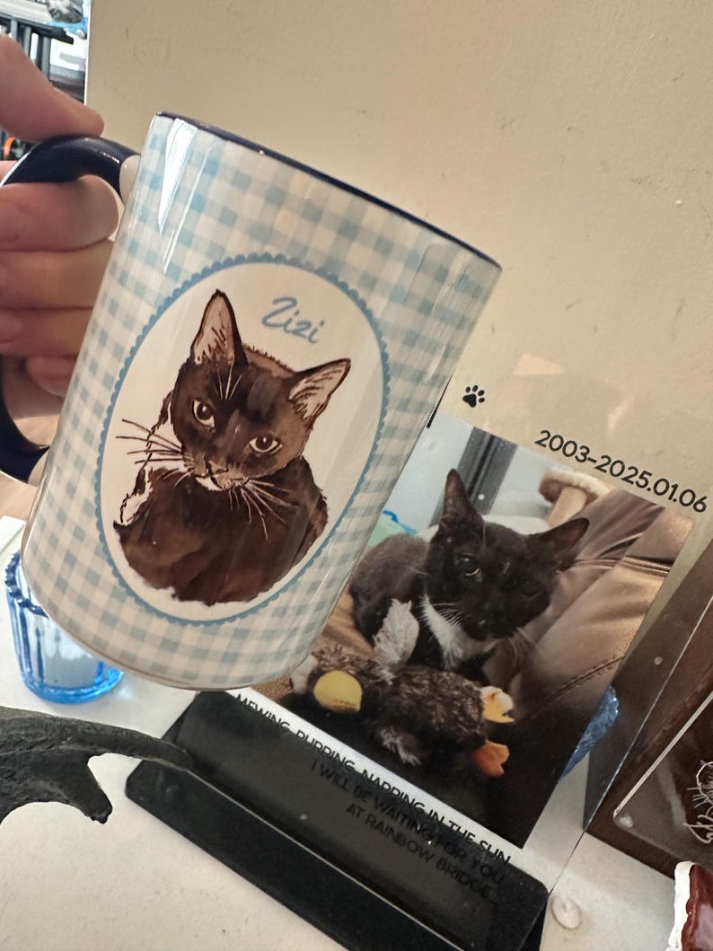 Może przedstawiać: Ceramiczny kubek w jasnoniebiesko-białą kratkę vichy z owalną ilustracją czarnego kota z napisem Zizi. Obok znajduje się tablica pamiątkowa ze zdjęciem czarnego kota, datą 2003-2025.01.06 oraz tekstem MEWING PURRING NAPPING IN THE SUN I WILL BE WAITING FOR YOU AT RAINBOW BRIDGE.