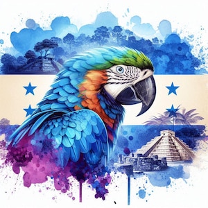 Ara du Honduras : 6 fichiers PNG
