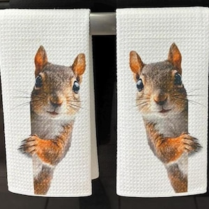 Squirrel Kitchen Towels Set: Absorbent Dish Towels for Nature Lovers