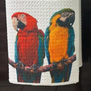 Perching Parrots Kitchen Towels Set: Yellow Blue and Red African Wildlife Decor Absorbent Dish Cloths for Home