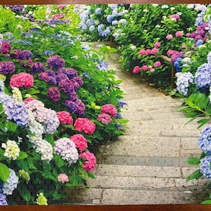 Hydrangea Placemat, Colorful Floral Design for Upscale Dining