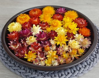 Strawflowers Sale Straw Flowers Dark Pink Straw Flowers Etsy