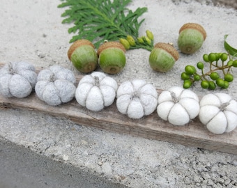 May include: A set of six small felted pumpkins in shades of gray and white, arranged in a row on a weathered wooden plank. The pumpkins feature textured wool surfaces and small stems, accompanied by green acorns and a sprig of evergreen foliage.
