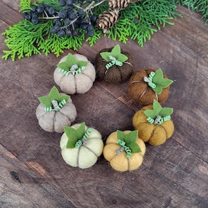 May include: A selection of handmade felt pumpkins in shades of beige, brown, and yellow, arranged in a circle on a wooden surface. Each pumpkin features a green felt leaf and a twine stem. Decorative greenery surrounds the pumpkins.