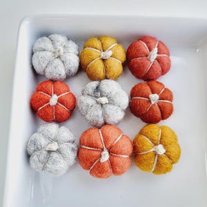 Può includere: Nove zucche di feltro in un piatto quadrato bianco. Le zucche sono in tonalità di grigio, arancione e giallo, con accenti di spago bianco. Disposte a griglia, perfette per l'arredamento autunnale.