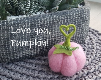 Pink pumpkin. Valentine's gift for her. LOVE YOU PUMPKIN. Send some love. Quarantine gift. Thinking of you. Gift for friend.