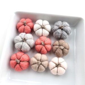 Può includere: Nove piccole zucche in feltro fatte a mano in un piatto quadrato bianco. Le zucche sono in tonalità di rosso, grigio, beige e bianco, con steli di spago marrone. Un oggetto decorativo stagionale per l'autunno.