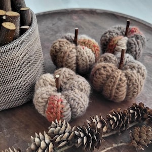 Op de afbeelding: Handgemaakte, gebreide pompoenen in bruin- en beigetinten met houten stelen. Sommige pompoenen hebben oranje en rode accenten. De pompoenen zijn gerangschikt op een houten oppervlak met dennenappels en een gevlochten mand gevuld met houten stokken.