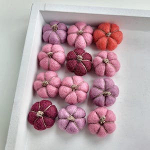 Könnte beinhalten: Eine Sammlung handgefertigter Filzkürbisse in verschiedenen Rosa-, Lila- und Orangetönen, angeordnet in einem weißen Tablett. Jeder Kürbis hat einen Bindfadenstiel, perfekt für Herbstdekorationen oder Bastelprojekte.