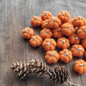 Puede incluir: Un conjunto de pequeñas calabazas de fieltro naranja con tallos blancos y algunas piñas sobre una superficie de madera. Ideales para manualidades y decoración otoñal.