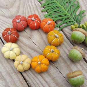 Può includere: Una collezione di zucche in feltro fatte a mano in vari colori autunnali, tra cui arancione, giallo e ruggine, disposte in cerchio. Ghiande verdi e fogliame sparsi su una superficie di legno invecchiato.