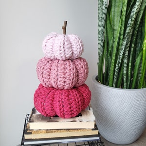 May include: A decorative arrangement of three crocheted pumpkins in shades of pink, with a small wooden stem. The pumpkins are stacked on books. A potted snake plant is visible in the background.