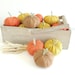 see more listings in the Pumpkins (fabric) section