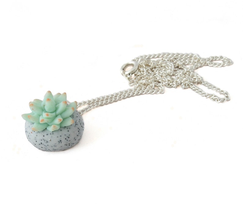 Succulent Pendant Necklace for Women  - Cactus Plant and Terrarium Jewellery