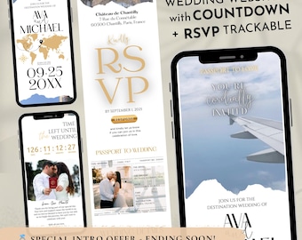 Passport Wedding Website Invitation: Digital RSVP, Online Invite (DIY Canva Template), Boarding pass invite