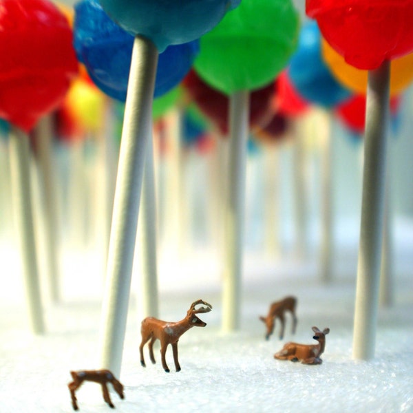 Lollipop Forest- 5x5 Metallic Print