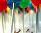 Lollipop Forest- 5x7 Metallic Print