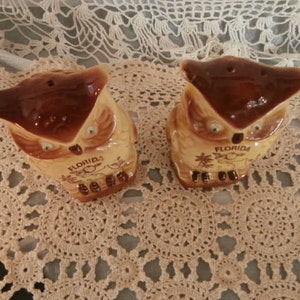 May include: A pair of ceramic owl-shaped salt and pepper shakers. The owls are brown and tan with the word "FLORIDA" printed on the front. Each shaker has two holes on top for dispensing.