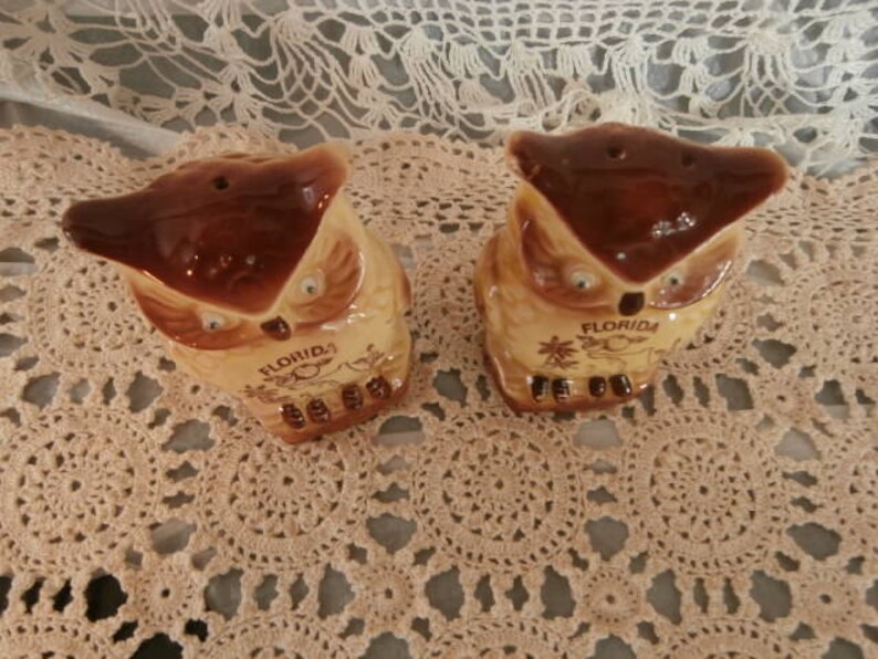May include: A pair of ceramic owl-shaped salt and pepper shakers. The owls are brown and tan with the word "FLORIDA" printed on the front. Each shaker has two holes on top for dispensing.