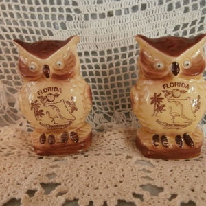 May include: Two ceramic owl figurines in brown and cream. Each owl features the word "Florida" and a graphic on the front. They are displayed on a cream-coloured lace doily. The owls are a charming decorative item.